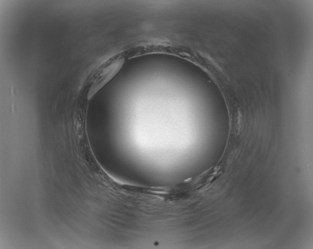 X0000053071303200507251449