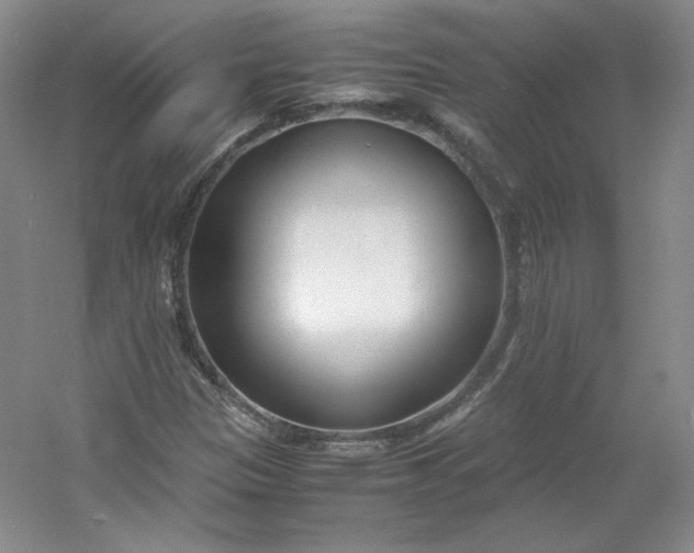 X0000053071305200507251449