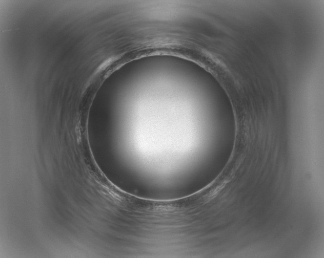 X0000053071306200507251449