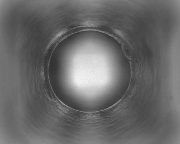 X0000053071307200507251449