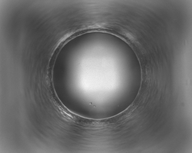 X0000053071308200507251449