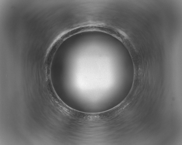 X0000053071310200507251449