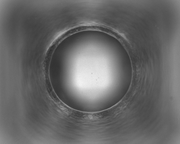 X0000053071311200507251449