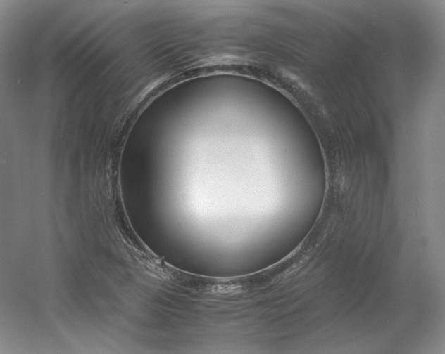 X0000053071313200507251449