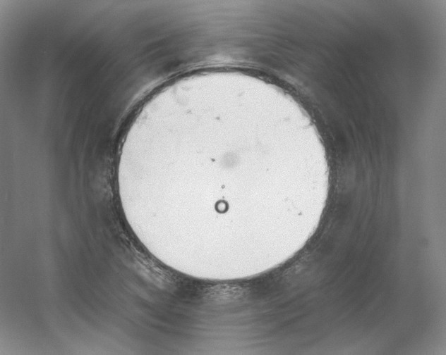 X0000053071314200507251449