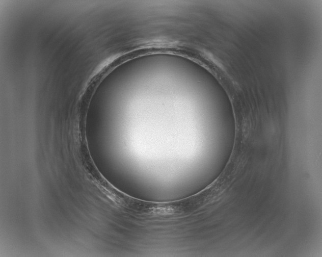 X0000053071315200507251449