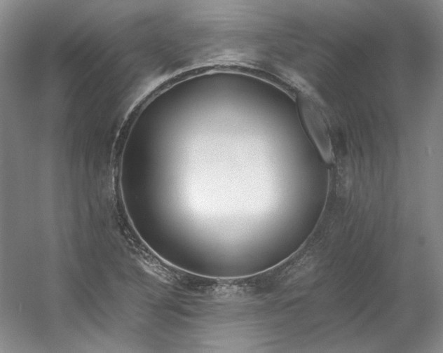 X0000053071316200507251449