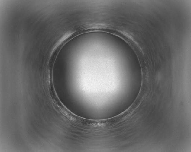 X0000053071317200507251449