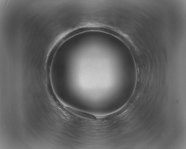 X0000053071319200507251449