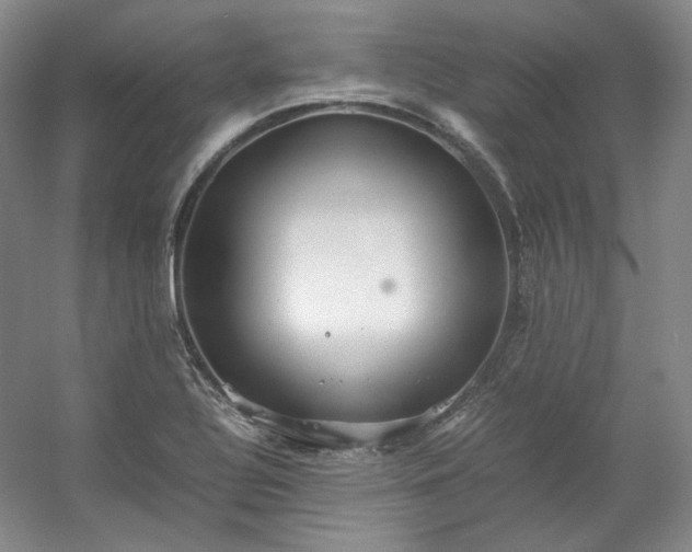 X0000053071320200507251449