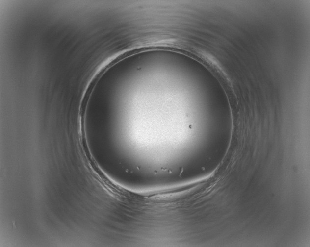 X0000053071324200507251449