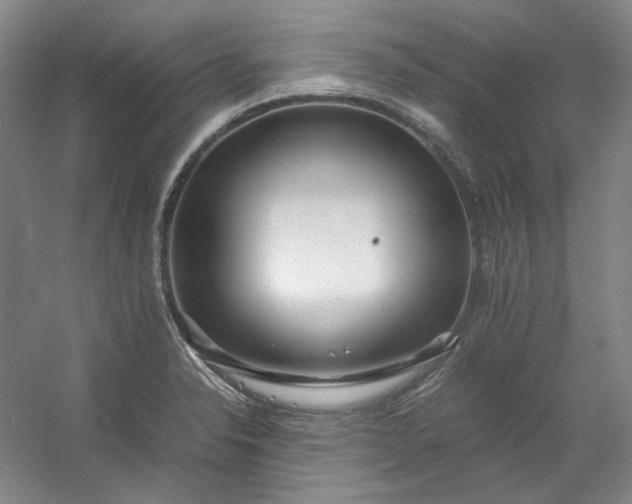 X0000053071326200507251449