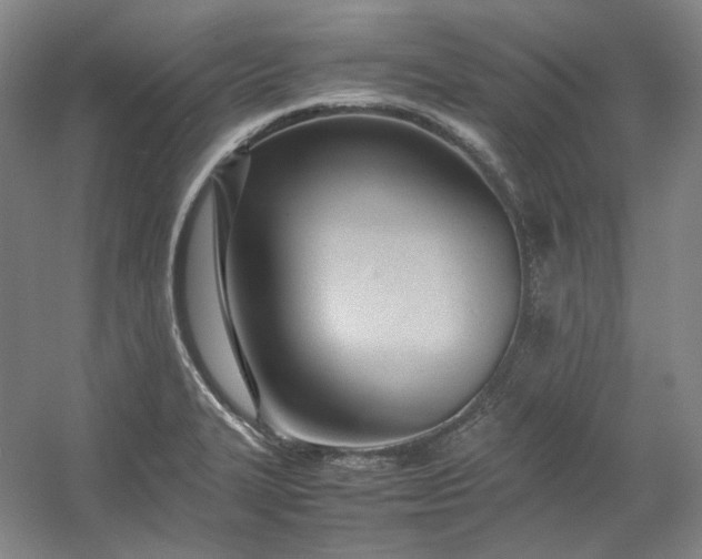 X0000053071327200507251449