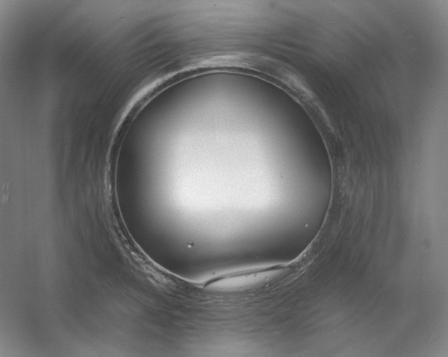 X0000053071328200507251449