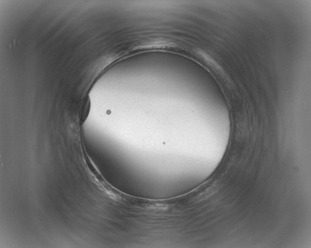 X0000053071329200507251449