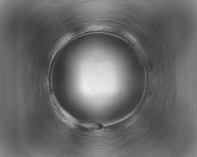 X0000053071330200507251449