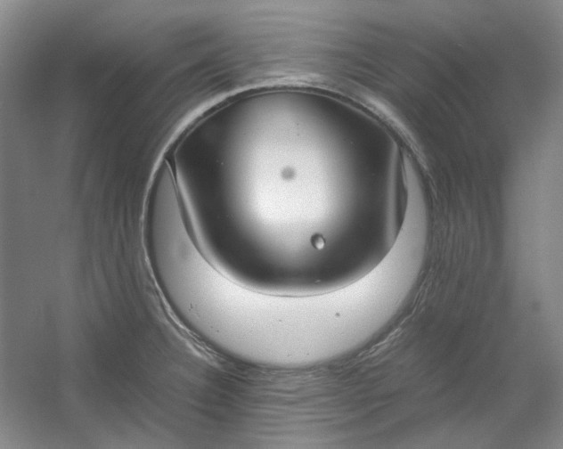 X0000053071332200507251449