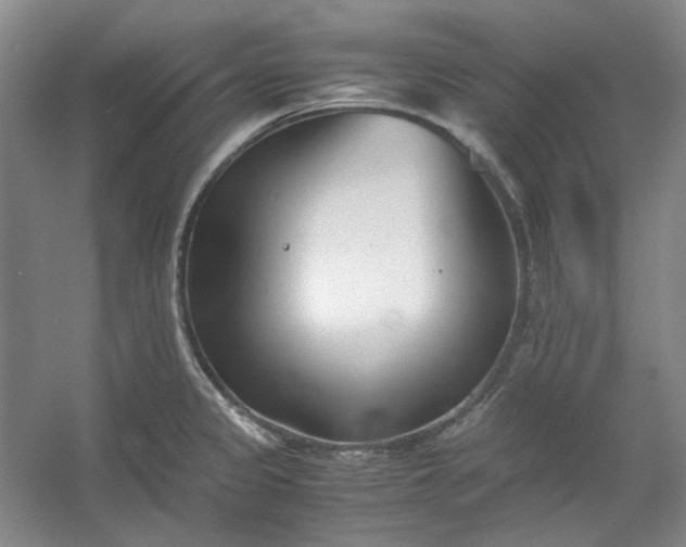 X0000053071333200507251449