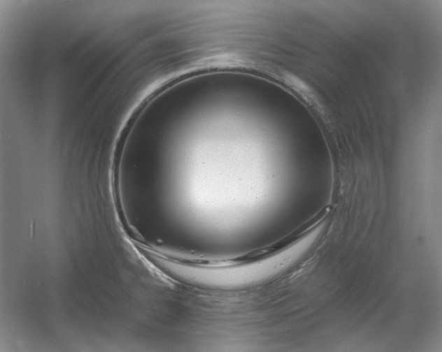 X0000053071334200507251449