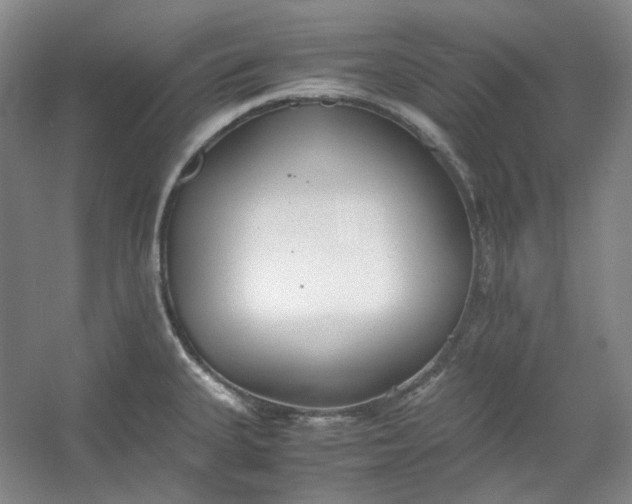 X0000053071335200507251449