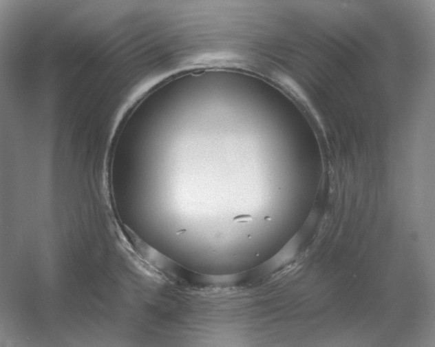 X0000053071336200507251449