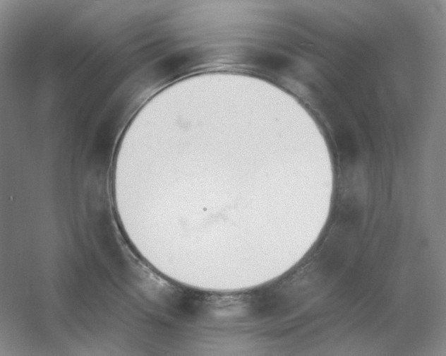 X0000053071338200507251449