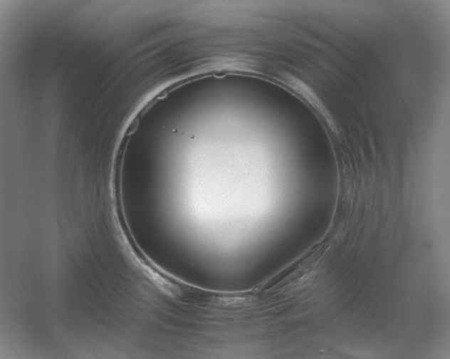 X0000053071339200507251449