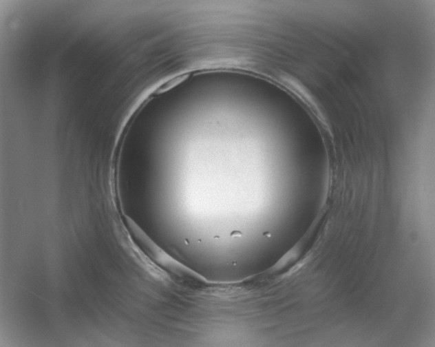 X0000053071340200507251449