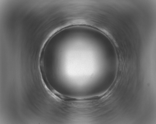 X0000053071342200507251449