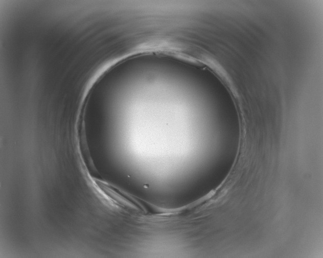 X0000053071344200507251450