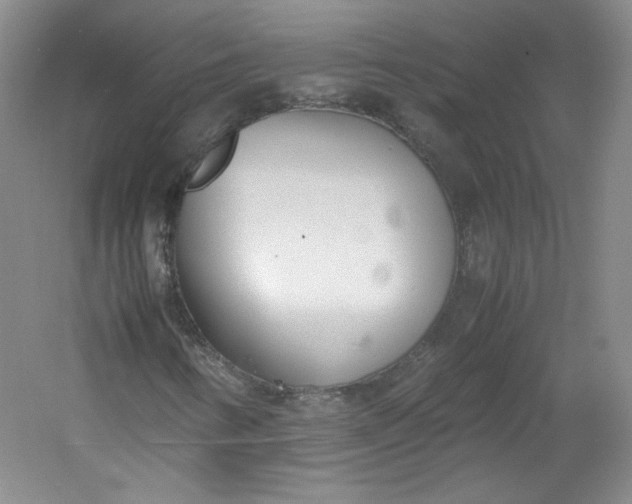 X0000053071346200507251449