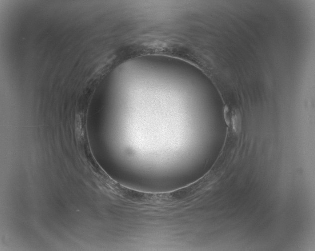 X0000053071347200507251449