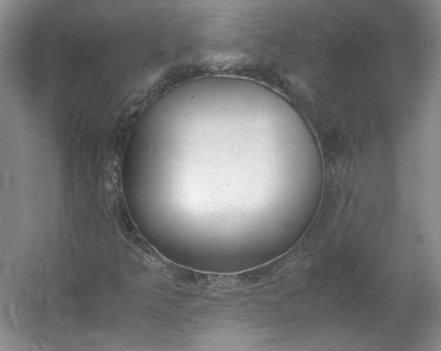 X0000053071349200507251449