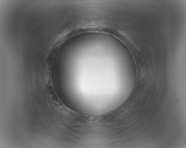 X0000053071350200507251449