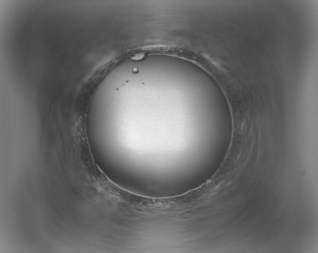 X0000053071351200507251449