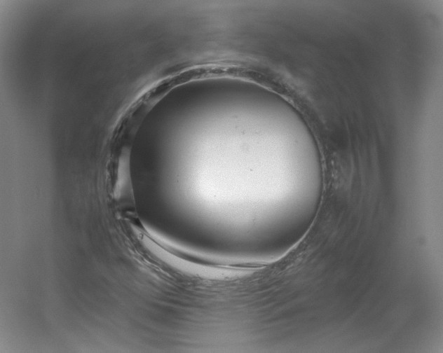 X0000053071352200507251449