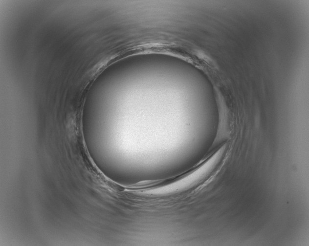 X0000053071353200507251449