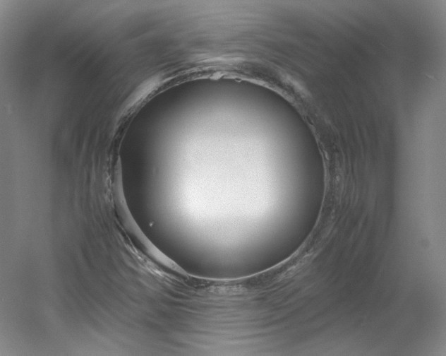 X0000053071354200507251449