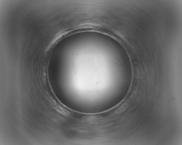 X0000053071355200507251449