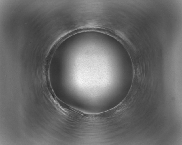 X0000053071356200507251448