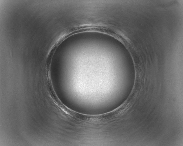 X0000053071357200507251448