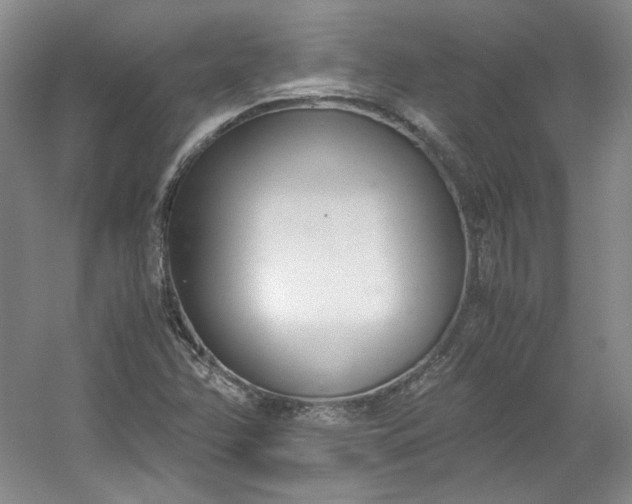 X0000053071358200507251448