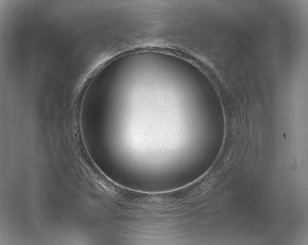 X0000053071359200507251448