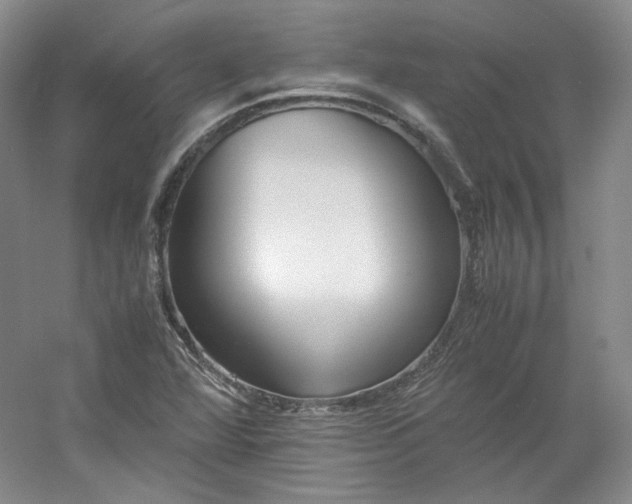 X0000053071360200507251448