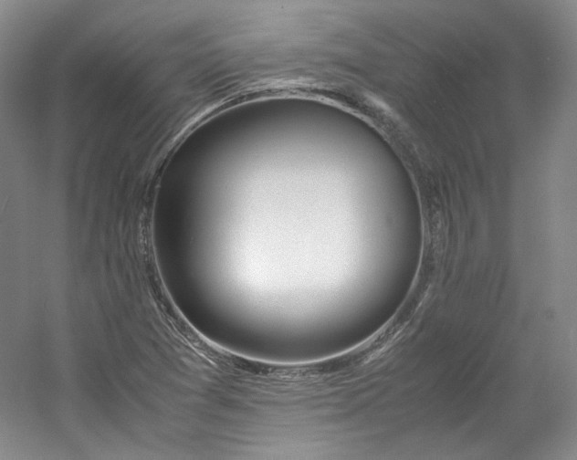 X0000053071361200507251448