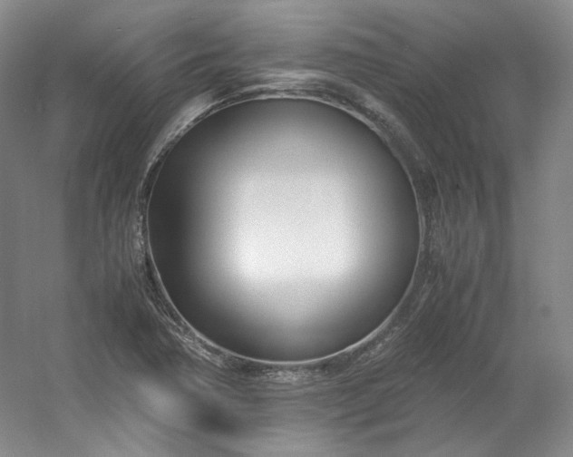 X0000053071362200507251448