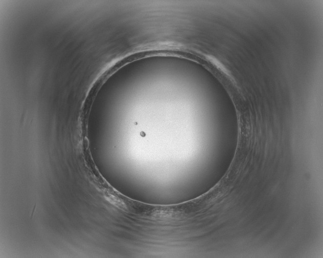 X0000053071364200507251448