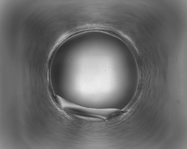 X0000053071365200507251448