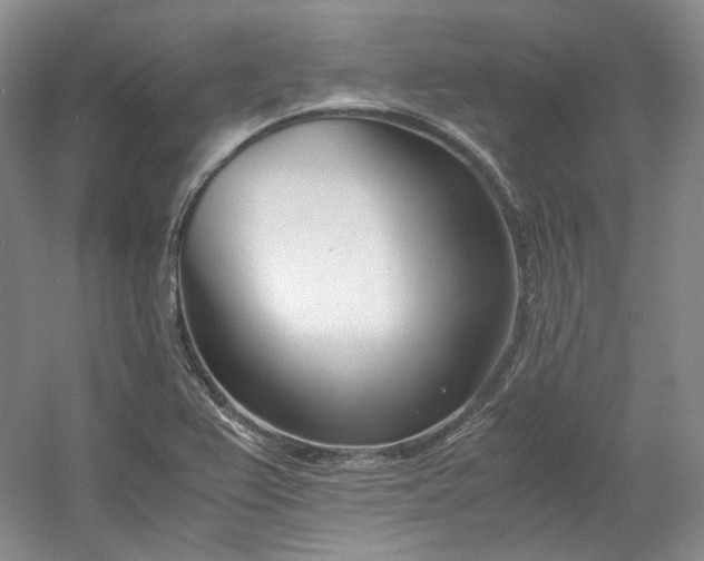 X0000053071367200507251448