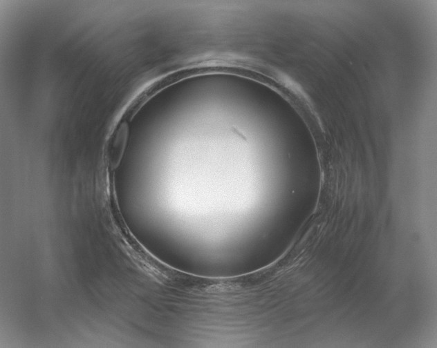 X0000053071368200507251448